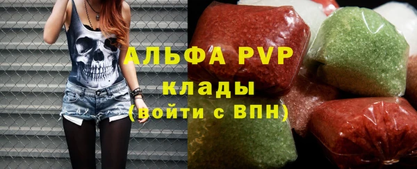 амф Верея
